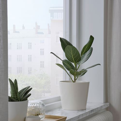 IKEA - SOJABÖNA, earthenware plant pot, white, 15 cm