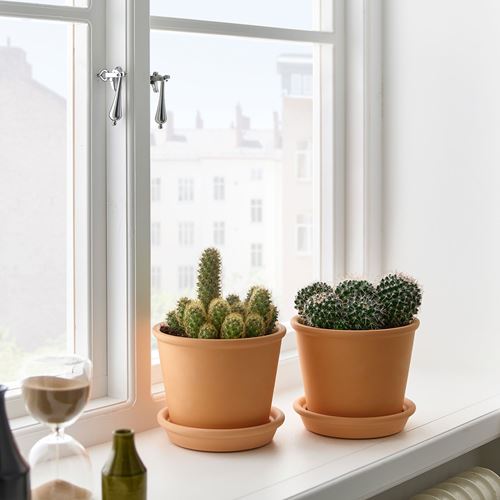 IKEA - CACTACEAE, potted plant, green, 15 cm