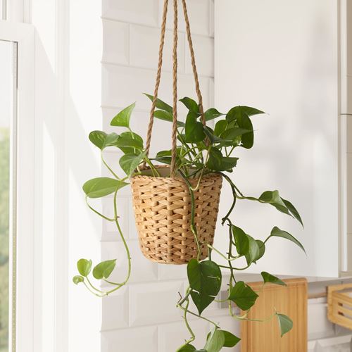 IKEA - FRIDFULL, asma saksı, su sümbülü, 12 cm