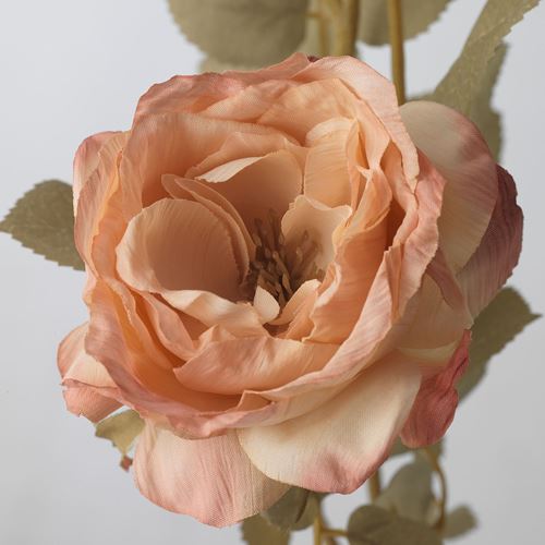 IKEA - SMYCKA, artificial flower, golden-brown, 63 cm