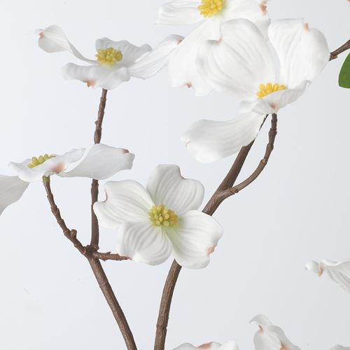 IKEA - SMYCKA, artificial flower, white, 100 cm