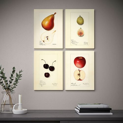 IKEA - PJATTERYD, resim, çok renkli, 28x38 cm