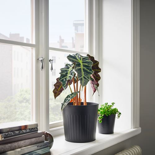 IKEA - CITRONMELISS, steel plant pot, anthracite, 19 cm