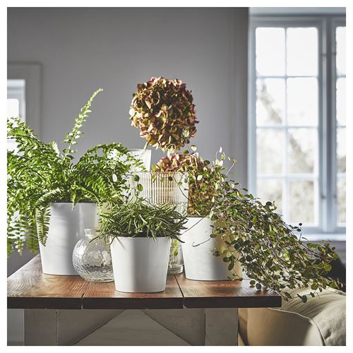 IKEA - SOJABÖNA, earthenware plant pot, white, 15 cm