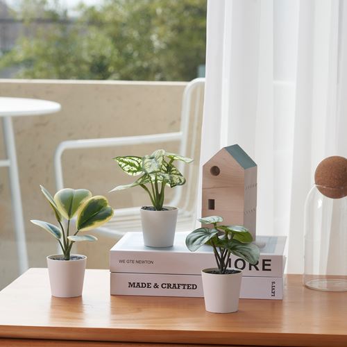 IKEA - FEJKA, yapay bitki, yeşil, 6 cm