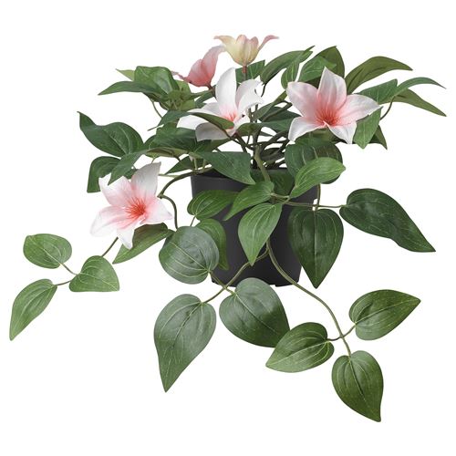 IKEA - FEJKA, yapay bitki, pembe, 12 cm