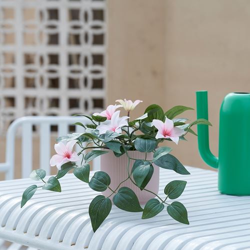 IKEA - FEJKA, yapay bitki, pembe, 12 cm