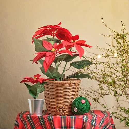IKEA - VINTERFINT, artificial plant, red, 12 cm