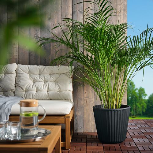 IKEA - BJÖRNBAMBU, plastik saksı, koyu gri, 32 cm