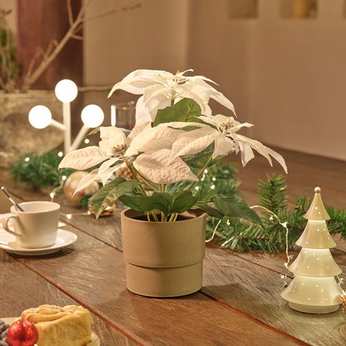 IKEA - VINTERFINT, artificial plant, white, 12 cm