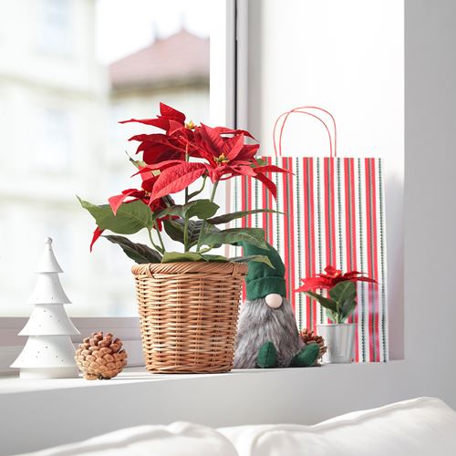 IKEA - VINTERFINT, artificial plant, red, 12 cm