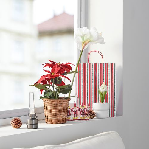 IKEA - VINTERFINT, artificial plant, red, 12 cm
