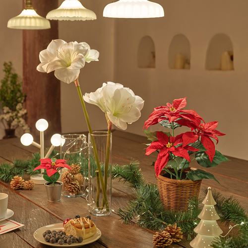 IKEA - VINTERFINT, artificial plant, red, 12 cm