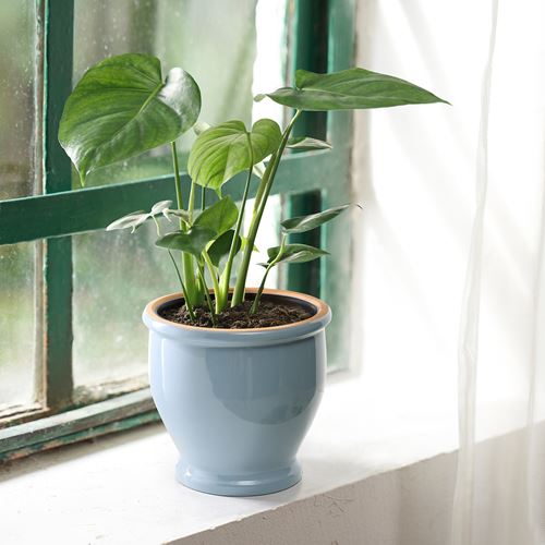 IKEA - TRUMPETBUSKE, stoneware plant pot, blue, 15 cm