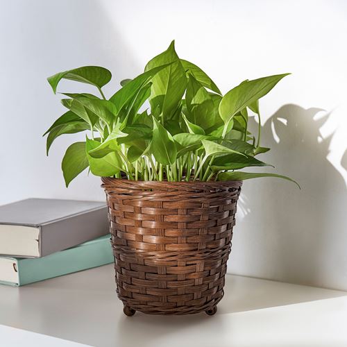 IKEA - KLIBBAL, bamboo plant pot, brown, 12 cm