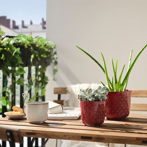 IKEA - SESAMFRÖN, seramik saksı, kahverengi-kırmızı, 9 cm