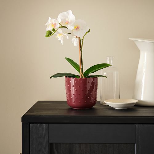 IKEA - SESAMFRÖN, seramik saksı, kahverengi-kırmızı, 9 cm