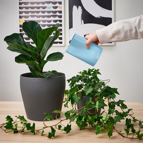 IKEA - CHILIFRUKT, vase-watering can, light blue, 17 cm