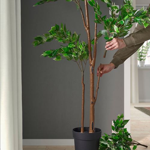 IKEA - FEJKA, yapay bitki, yeşil, 21 cm