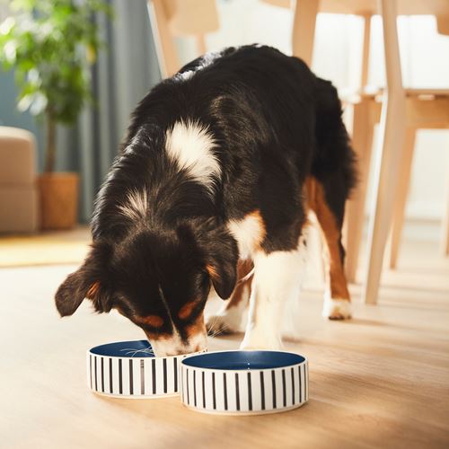 IKEA - UTSADD, cat/dog food bowl, multicolour, 15 cm