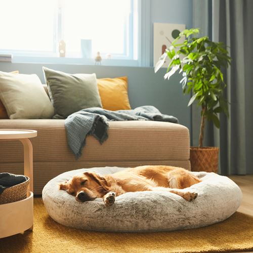 IKEA - UTSADD, pet bed, light grey, 90x20 cm