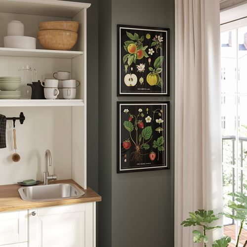 IKEA - KNOPPANG, çerçeveli resim, eski̇ botani̇k meyve tabloları, 40x50 cm
