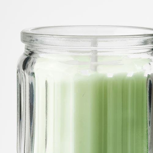 IKEA - LÖVSKOGSLUND, scented candle in cup, light yellow, 12 hr