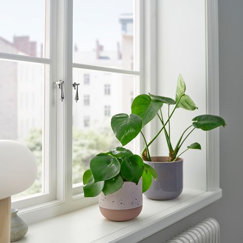 IKEA - BUSKKAPRIFOL, seramik saksı, bej, 12 cm