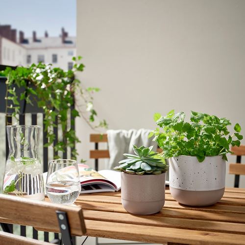 IKEA - BUSKKAPRIFOL, seramik saksı, gri, 9 cm