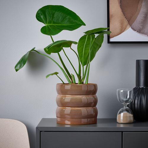 IKEA - HASSELBUKETT, seramik saksı, yeşil-kahverengi, 15 cm