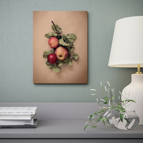 IKEA - PJATTERYD, resim, çok renkli, 30x40 cm