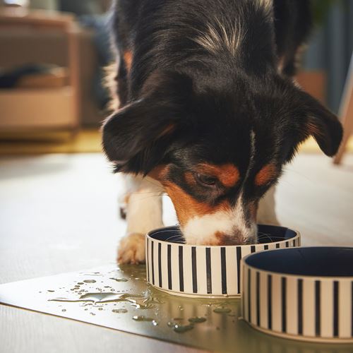 IKEA - UTSADD, place mat for food bowl, grey-green, 33x50 cm