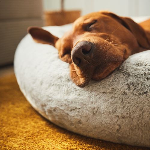 IKEA - UTSADD, evcil hayvan yatağı, açık gri, 114x22 cm