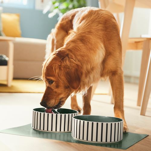 IKEA - UTSADD, cat/dog food bowl, multicolour, 19 cm