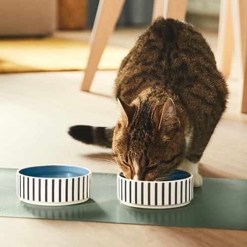 IKEA - UTSADD, cat/dog food bowl, multicolour, 11 cm