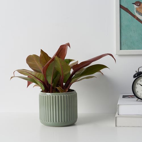 IKEA - STILREN, stoneware plant pot, dark turquoise, 12 cm