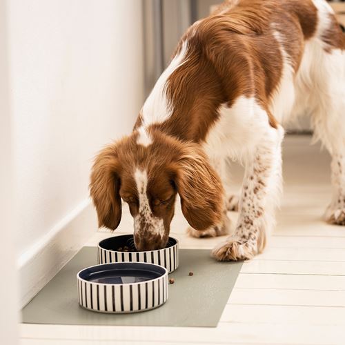 IKEA - UTSADD, cat/dog food bowl, multicolour, 15 cm