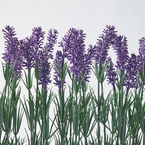 IKEA - FEJKA, saksılı yapay bitki, yeşil-beyaz