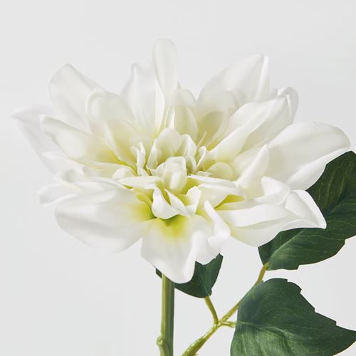 IKEA - SMYCKA, artificial flower, white, 30 cm