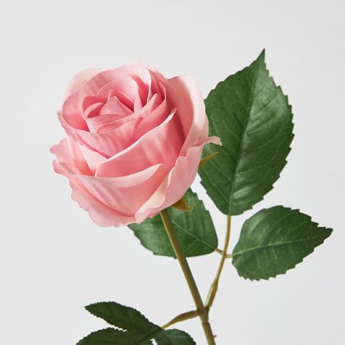 IKEA - SMYCKA, artificial flower, pink, 40 cm