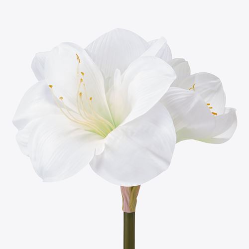 IKEA - VINTERFINT, artificial flower, white, 60 cm