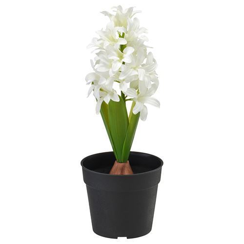 IKEA - VINTERFINT, artificial plant, white, 9 cm