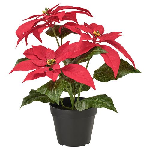 IKEA - VINTERFINT, artificial plant, red, 12 cm