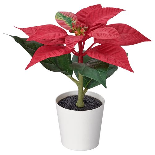 IKEA - VINTERFINT, artificial plant, red, 6 cm