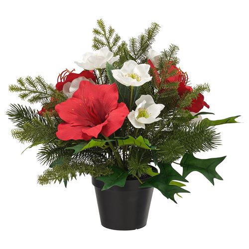 IKEA - VINTERFINT, artificial plant, red/white, 12 cm