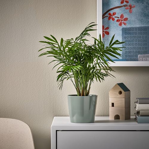 IKEA - SOJABÖNA, earthenware plant pot, grey-green, 9 cm