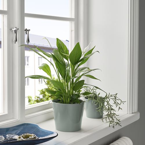 IKEA - SOJABÖNA, earthenware plant pot, grey-green, 12 cm