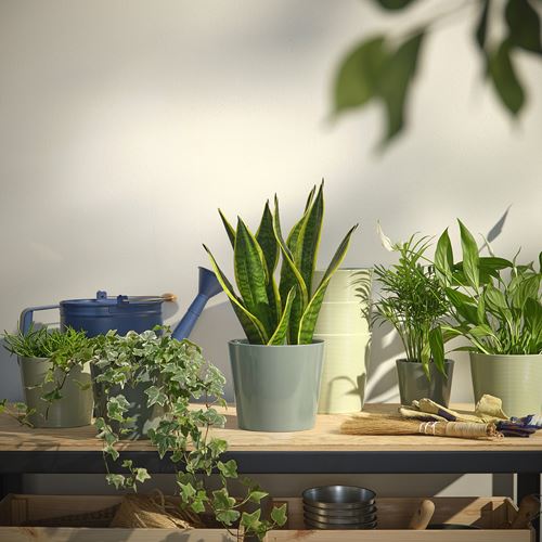IKEA - SOJABÖNA, earthenware plant pot, grey-green, 15 cm