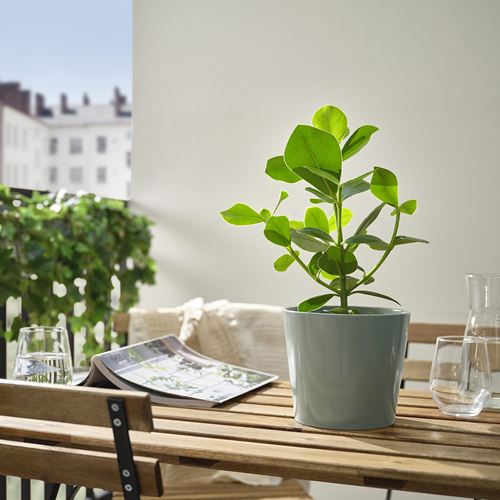 IKEA - SOJABÖNA, earthenware plant pot, grey-green, 15 cm