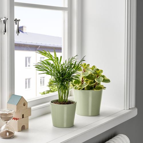 IKEA - BROKSPIREA, toprak saksı, açık yeşil, 9 cm